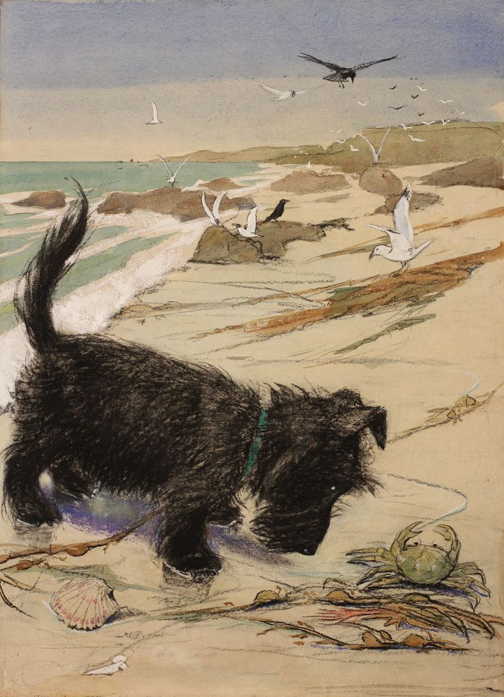 “Seashore” Scottish Terrier pastel by Muriel Helen Dawson